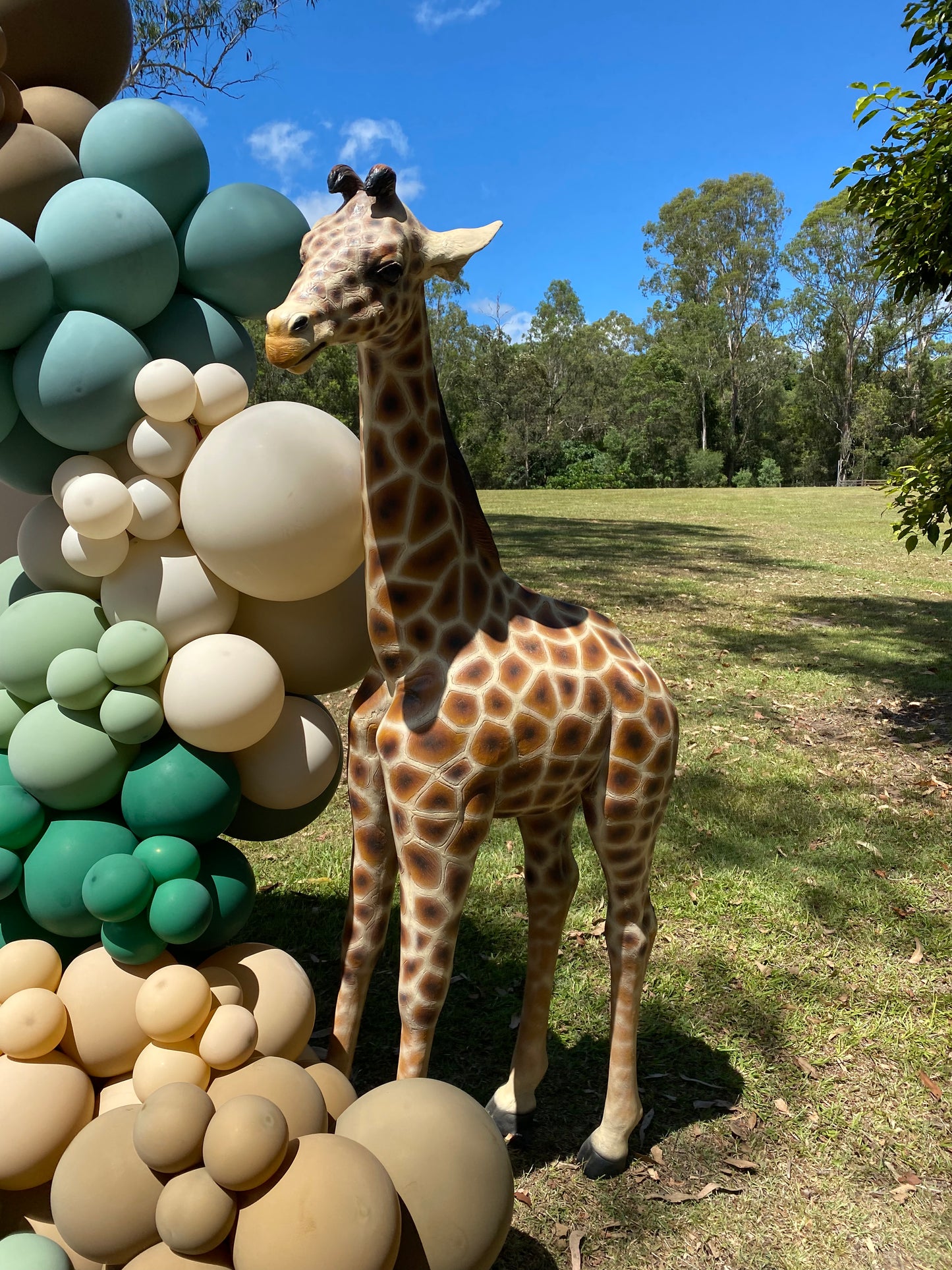 Gerry the Giraffe