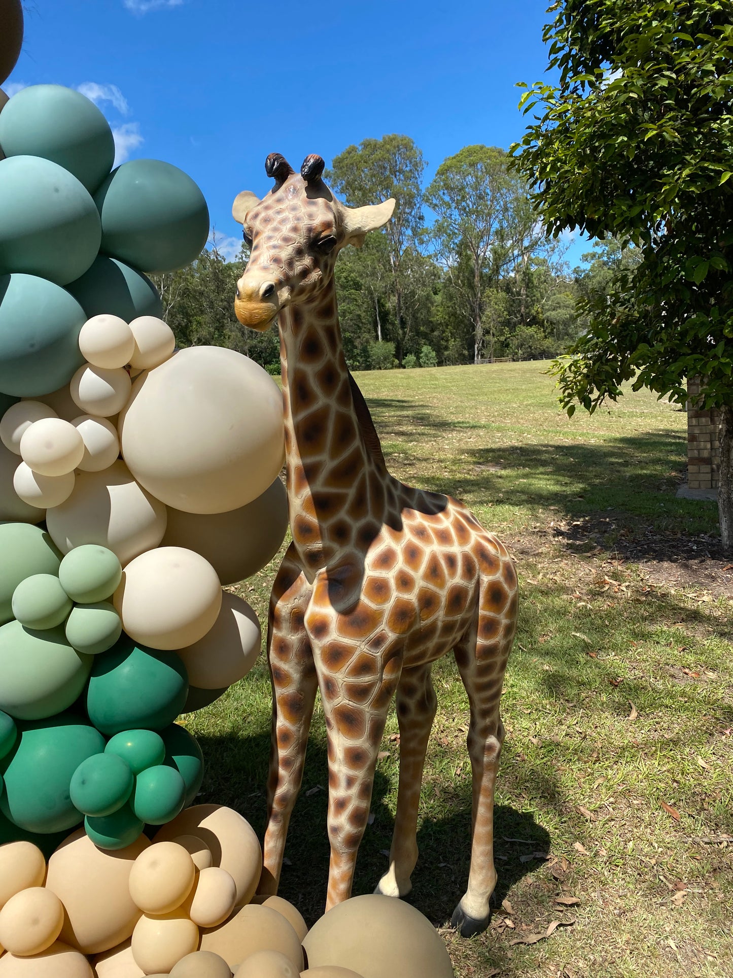 Gerry the Giraffe